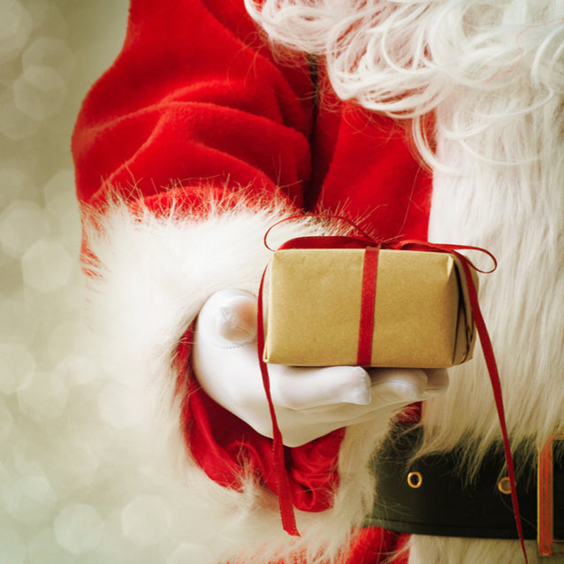 Santa Claus Gloves